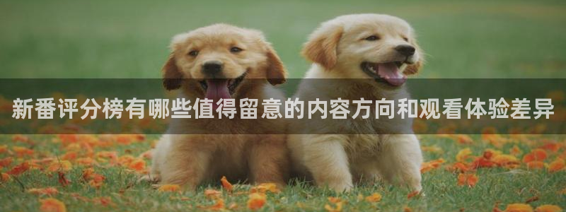 必看动漫推荐