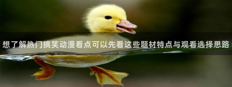 动漫热门榜