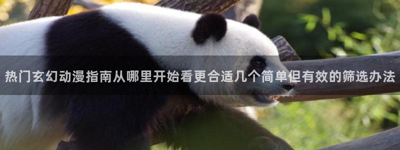 动漫角色大全
