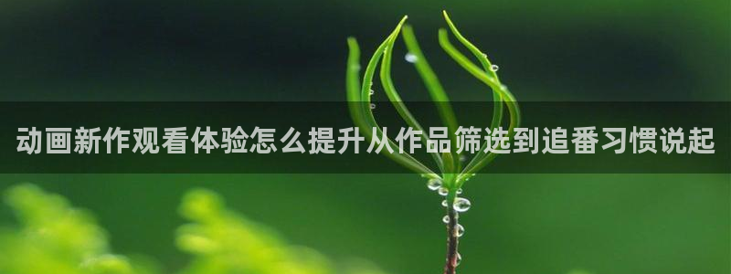 动作动漫推荐