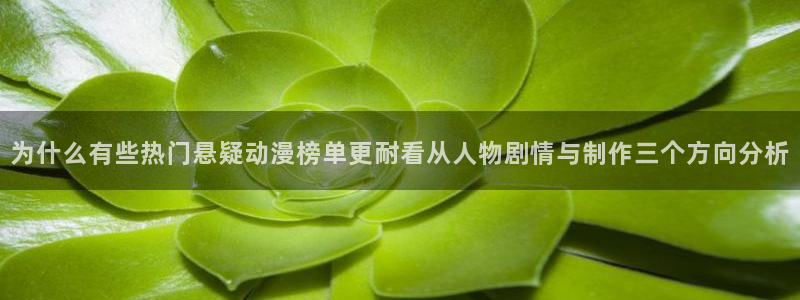 新番动画