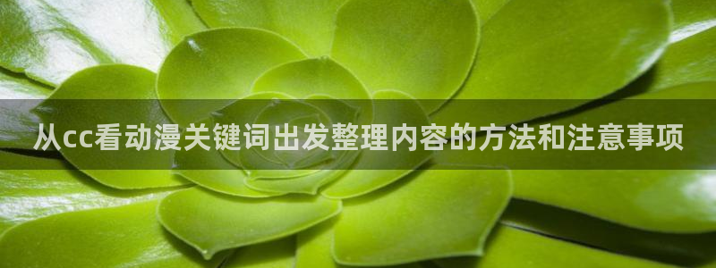 最新动漫网站