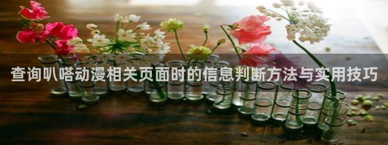 动漫网最新地址