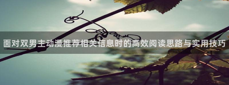 动漫网页版
