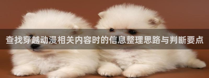 动作动漫推荐