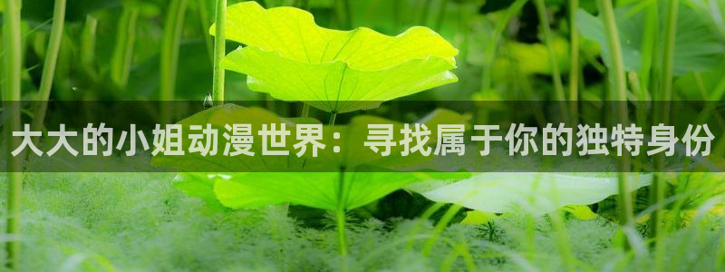 新番动画大全