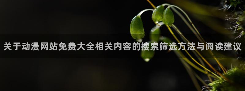 动漫更新资讯