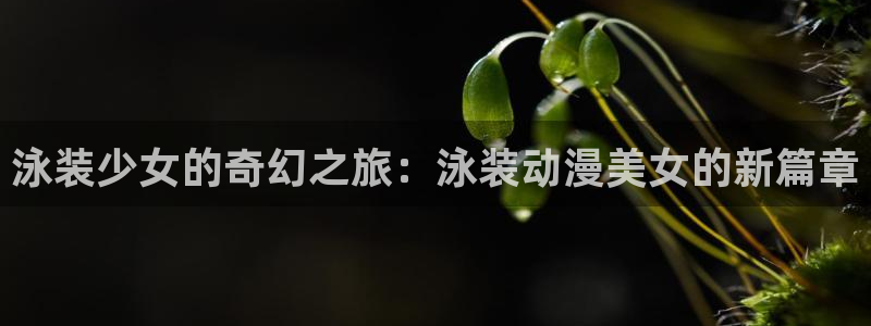 动漫在线入口