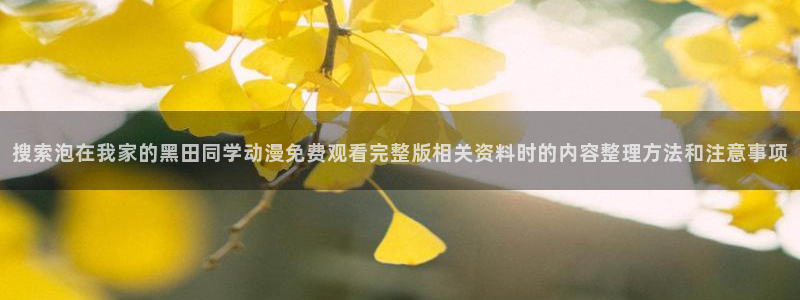 最新动漫资讯